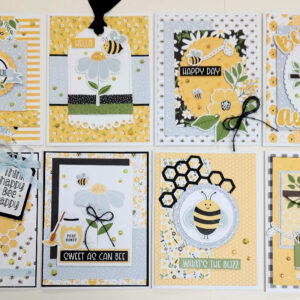 Echo Park Bee Happy Card Kit